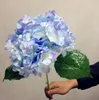 Artificial Hydrangea Flower 80cm/31.5" Fake Silk Single Hydrangeas 6 Colors for Wedding Centerpieces Home Party Decorative Flowers SF015