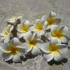 100pcs 5 cm 6 cm 8 colors Hawaiian 5colors Real Touch Artificial Plumeria Flower DIY Hair Akcesorium Pe Frangipani Wedding Party Decor6978392