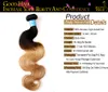 Ombre Peruvian Virgin Hair Extensions Body Wave Wavy Grade 8A Two Tone 1B/27# Honey Blonde Ombre Peruvian Remy Human Hair Weave Bundles