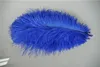 Hela 100pcslot 1214Inch3035cm Royal Blue Ostrich Feather Plume For Wedding Centerpiece Home Decor4491587