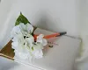 Brudbuketter 2015 brud håller blommor handgjorda brudtärna bukett vita Camellia bröllopsdekorationer