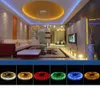 DC 12V 5M 5050 SMD Vattentät RGB 300 LED Flexibel Strip String Light Ribbon Tape Lamp + 44 Key Remote Controller