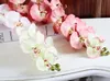 Autumanl Moth Orchid flower butterfly orchid artificial flower pu flower for home wedding decoration whole saler free DHL shipping HM015