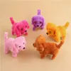 Electric soft toy dog retreat will call shine forward rewind dog stall selling source novelty toys Electronic Pets