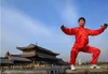 Novo poliéster chinês tai chi kung fu wing chun terno de arte marcial casacos jaqueta uniforme costume2617410