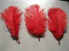 wholesale free shipping 100pcs/lot 8-9inch(20-25cm) Red Ostrich Feather Plumes for wedding party event feather centerpiece