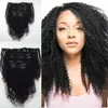 Clip Dans Les Extensions De Cheveux Humains Brésiliens Vierge Cheveux Afro Kinky Bouclés Clip Dans Les Extensions De Cheveux Naturel 4B 4C Kinky Bouclés Clip Ins