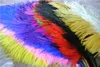 HELA 100PCSLOT 1416 Ing White Black Red Light Pink Royal Blue Turquoise Orange Purple Ostrich Feather Wedding Cent950760