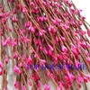 400 stks Groothandel 40cm DIY Mooie Pip Berry Stem voor Floral ArecationManet Crafts Wedding Garland Decoration Accessories