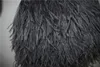 10 Yardslot 1 -lagen Light Graydark Grey Ostrich Feather Trimning Fringe på satinhuvud 5 6inch1215cm i bredd till TIP3901310