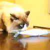 シミュレーションフィッシュキャットニップのおもちゃ7スタイルペット子猫クッショングラス噛みつき咀嚼面白いスクラッチピロー20cmペットの埋めた