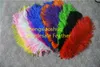 wholesale 100pcs/lot 12-14inch Ostrich Feather Plume Royal bule,Turquoise,Hot Pink,Yellow,Purple,White For wedding centerpiece