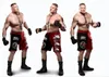 Todeskupplung Brock Lesnar Vale Tudo Fight Shorts Reithosen Strand Shorts3478134