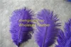 Hurtownie 100 sztuk / partia 14-16inch 35-40 cm Purpurowe Plume Plume Feather do ślubu Ślubne Dekoracje Kostiumy Pióro