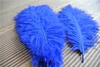 HELA 100PCSLOT 1214INCH3035CM Royal Blue Ostrich Feather Plume For Wedding Centerpiece Home Decor1101856