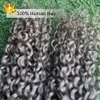 Extensões de cabelo cinza tecer kinky curly cabelo humano pacotes 2 pçs / lote prata extensões de cabelo humano, desenhado duplo, sem derramamento