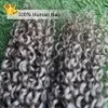 Las extensiones de cabello gris tejen paquetes de cabello humano rizado rizado 2PCSLOT extensiones de cabello humano plateadoDoble dibujadoSin derramamiento5013997