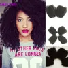 10-26 inch 4 stks / partijen Afro Kinky krullende Indiase Braziliaanse Mongoolse Peruviaanse kinky krullend maagdelijke menselijke haarextensies natuurlijk zwart