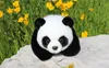 Nueva postura de 3 # 36cm / 14 "***** se puede ajustar Panda ***** Peluche de peluche de peluche