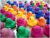 12pcs Rubber duck Mixed Animals Swimming Water Toys Colorful Float Squeeze Sound Squeaky Bathing Toy For Baby Bath Toys