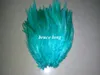 Mélangez des couleurs de coq plumes de faisan plume diy collier de boucle d'oreille chapeau masque décor de plumes bœuf 1000pcs 46 pouces 1015cm6598520