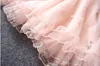 Девочки кружевное жемчужное платье 2015 новая привлекательная принцесса Девочки кружевное платье без рукавов детская одежда