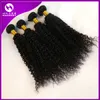 Extensions de cheveux malaisiens Double trame crépus bouclés cheveux non transformés armure péruvienne cheveux bouclés mélange longueur 8 "-30"