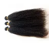 Onverwerkte Europese Braziliaanse Virgin Menselijk Haar Goedkope Prijs 3 4 5pc / partij Kinky Curl Wholesale Maleisische Mongoolse Hair Extensions Dhgate