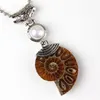 HELA 10sts charm silverpläterad naturlig druzy ammonit fossil hänge ametist rose kvarts sten pärlor hängsmycken för nec225n