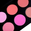 DHL Gratis 2016 Ny professionell Blush Palette 10 Färger Makeup Kosmetisk Blush Make Up Blusher Powder Palette Set med Logo