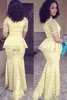 Mermaid Mother Of The Bride Dress With Short Sleeve Peplum Zipper Back Lace Evening Gowns Yellow Plus Size Prom Dress Formal For Women 2015