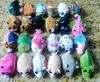 8cm Mini TY Beanie Boos Plüschspielzeug Soft Gefüllte Hund Katze Maus Penguin Big Eyes Tiere Puppen Siebreiniger Spielzeug