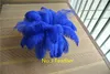 Partihandel 100 st 12-14INCH Royal Blue Ostrich Feather for Wedding Centerpiece Wedding Table Party Event Decor