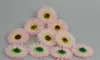 180pcs 3" Mixed Colors Artificial Africa Chrysanthemum Silk Flower Heads Wedding Bridal Bouquet Room table Decoration