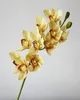 one Piece PU Orchids 3D Printing Effect Cymbidium Artificial Real Touch Orchid 7 Color for Wedding Centerpieces Home Decorative Flowers