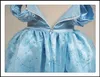 Samgami детские девушки Золушка Принцесса платья дети девушки косплей костюм sunderss с украшением бабочка Sa0014#