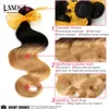 3 Pcs Lot 8-30 Pouces Deux Tons Ombre Malaisienne Extensions de Cheveux Humains Corps Vague Couleur 1B/27 # Blonde Ombre Malaisienne Vierge Cheveux Weave Bundles