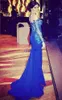 Hottest Mermaid Cocktail Dress Sheer Neck Appliques Back Zipper Long Sleeve Evening Dresses Gown Taffeta Sweep Train Prom Party Dresses 2015