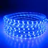 100m 110 V 220 V LED paski SMD 5050 LED Line Light IP67 Flex LED Strip Lights Oświetlenie Oświetlenie Disco Bar Pub Boże Narodzenie