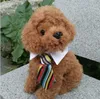Gentleman Pet Dog Tie Grille Stripe Cat Bow Tie Chiot Cravate Pour Petits Chiens Costumes Vêtements avec Collier Toilettage Pet Supplies G1125