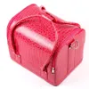 مستحضرات التجميل حالة قطار ماكياج حالة 1pcs / lot 5 ألوان حقائب النساء الوردي حمل حقيبة المكياج المنظم متعدد الوظائف
