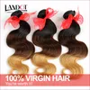 Wefts 3Pcs Lot 830Inch Three Toned Ombre Russian Human Hair Extensions Body Wave Wavy 1B427 Black Brown Blonde Ombre Virgin Hair Weav