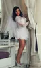 Замочная скважина назад короткие кружева свадебные платья с длинными рукавами сексуальные мини кружева свадебные платья 2015 новый заказ пляж свадебные платья