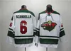 2015 Top Minnesota Wild # 3 Coyle Scandella Fontaine Carter Brodziak Spurgeon Mens 2015 Hockey Maglie