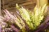 웨딩 파티 홈 장식 꽃을위한 인공 라벤더 무리 실크 꽃 홈 장식 꽃 무료 라벤더 인공