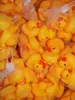 20pcslot 4x4cm Cute Baby Girl Boy Bath Bathing Classic Toys Rubber Race Squeaky Ducks Yellow9707614