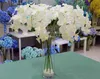 Jedwabny phalaenopsis 95 cm/37.4 "sztuczny orchidea Vanda White/Pink/Fuchsia/Green for Wedding Flower Home Party