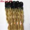 Trança de cabelo sintético 24inch100g Ombre Dois tons de cor Jumbo tranças extensões de cabelo sintético 23colors5325147