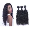 Cabelo encaracolado brasileira de alta qualidade extensões de cabelo encaracolado profundas peruanas da Malásia indianos ofertas bundle Cabelo cambojano brasileira