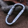 låsande karabiner keychain